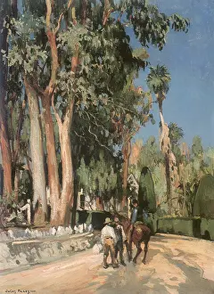Arcadia: Baldwin Estate - Arcadia