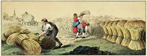 Tying: Bales of hay during harvest