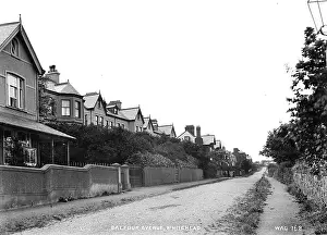 Balfour: Balfour Avenue, Whitehead