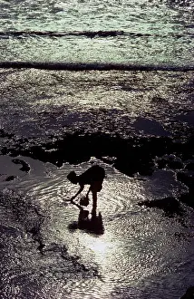 Bent: Bali seashell gleaner, Kuta