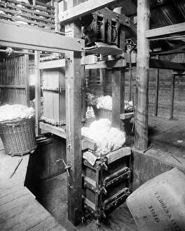 Shearing: Baling fleeces, Burrawang, Australia