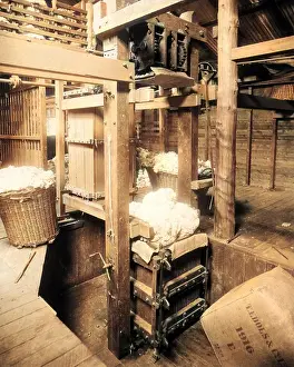 Shearing: Baling fleeces, Burrawang, Australia