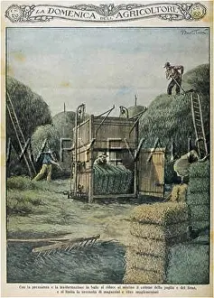 Compressing: BALING STRAW, ITALY