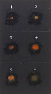 Linn: BALL LIGHTNING 1980