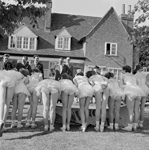 Tutus: Ballerinas