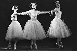 Principals: Ballet dancers, 1978