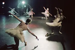 Choreography: Ballet Swan Lake