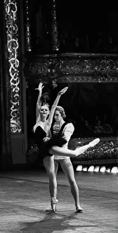 Anisimov: Ballet Swan Lake