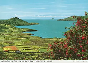 Hogs: Ballinskelligs Bay, Hogs Head, Skellig Rocks, Ring of Kerry