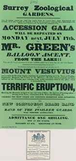 Accession: Balloon event, Charles Green