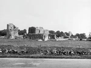 Mallow: BALLYBEGGS ABBEY