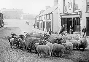 Ballyclare: Ballyclare early 1900s