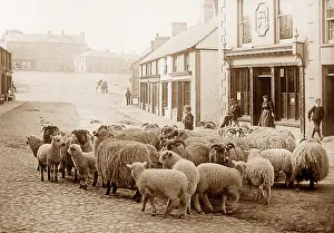 Ballyclare: Ballyclare, Ireland