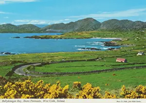 Beara: Ballydonegan Bay, Beara Peninsula, West Cork, Ireland