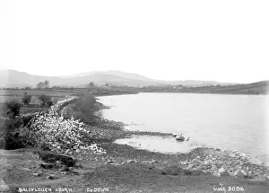 Lough: Ballylough Lough, Co. Down