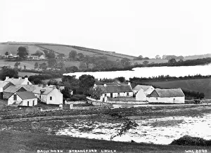 Strangford: Ballynorn, Strangford Lough