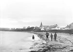Ballywalter: Ballywalter from the Beach