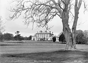 Ballywalter: Ballywalter Park
