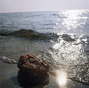 Amber: Baltic amber, 1974