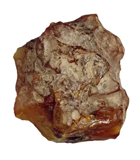 Unpolished: Baltic amber