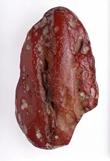 Cromer: Baltic amber