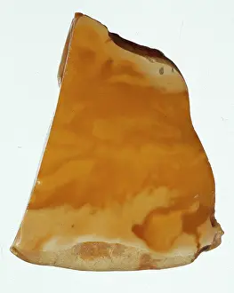 Resin: Baltic amber