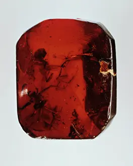 Corundum: Baltic amber