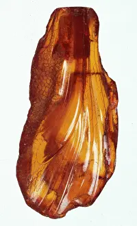 Oxidised: Baltic amber