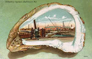Jun16: Baltimore, Maryland, USA - Unloading Oysters
