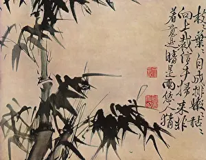 Leafy: Bamboo