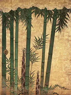1614: Bamboo Grove