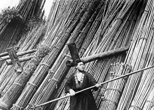 Bamboo: Bamboo merchant in Japan, 1930