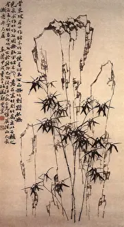 Spurs: Bamboo and Rock