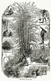 Rafts: Bamboo and its uses in China 1867