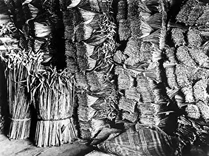 Bamboo: Bamboo warehouse in Japan
