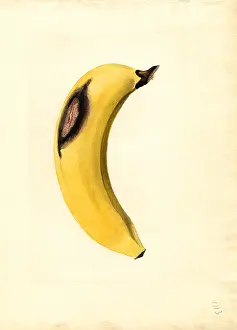 Bruised: banana - fruit - food - nature