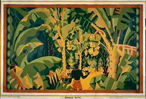 Plantations: Banana palms