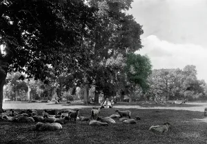 Banbury: Banbury, the Park 1922