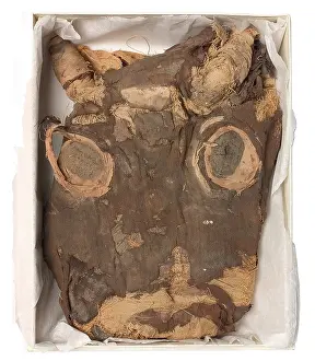 Mummified: Bandages from a calf mummy