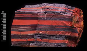 Stripey: Banded iron specimen
