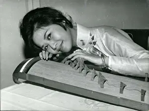 Zither: Bands - Composers - Instruments - Musicians