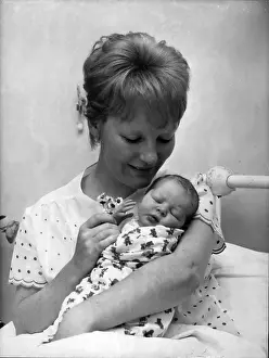 Petula: Bands - Composers - Instruments - Musicians