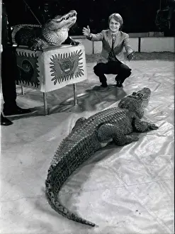 Crocodiles: Bands - Composers - Instruments - Musicians
