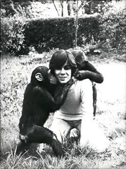 Chimpanzees: Bands - Composers - Instruments - Musicians
