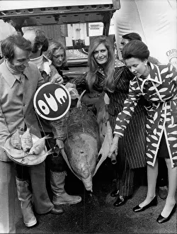 Dalida: Bands - Composers - Instruments - Musicians