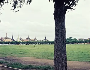 Kaew: Bangkok Cremation ground - Thailand