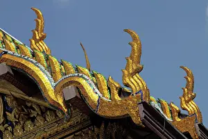 Dharma: Bangkok, Thailand