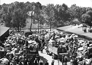 Banishment: Banishment of Germans from Czechoslovakia