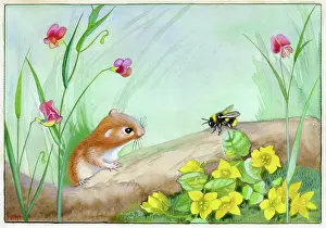 Creeping: Bank vole looking at bumblebee