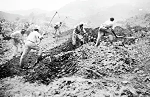 Grenadines: Banking sand in St Vincent early 1900s